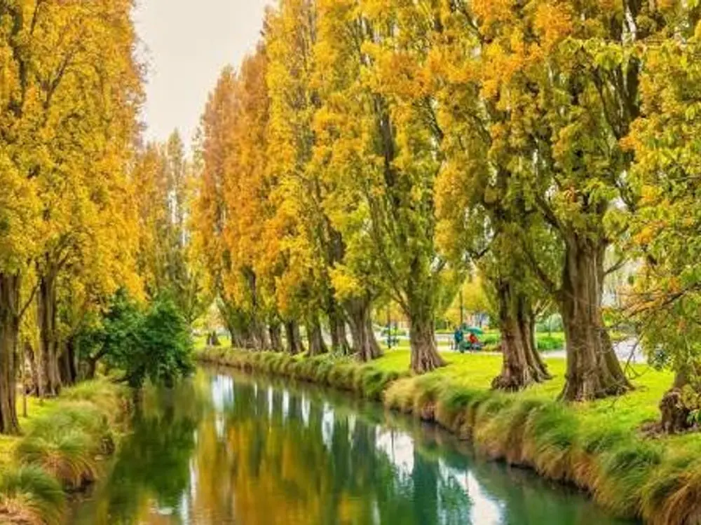 Burnside, Christchurch