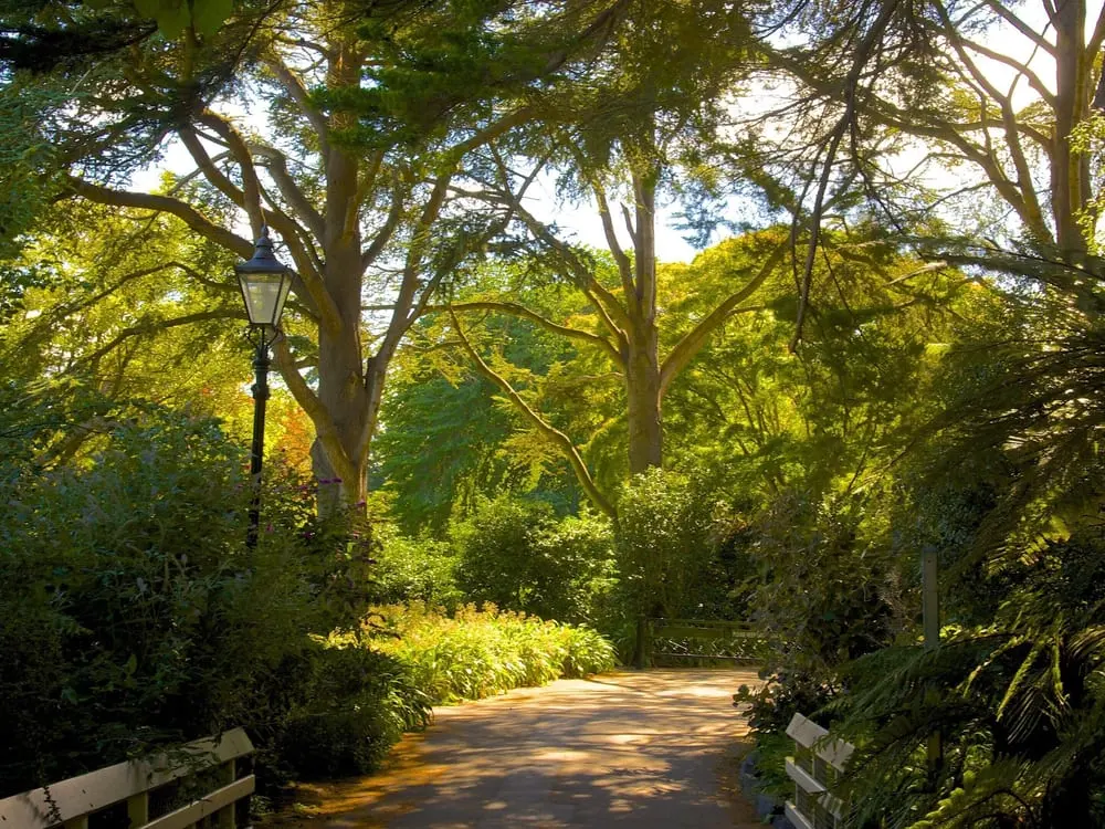 Fendalton, Christchurch